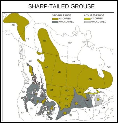 sharptail-habitat-decline