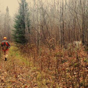 hunter walking trails